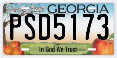 GA license plate PSD5173