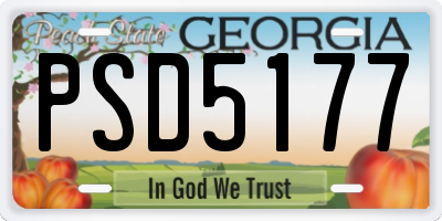 GA license plate PSD5177