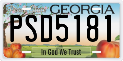 GA license plate PSD5181