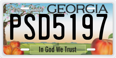 GA license plate PSD5197