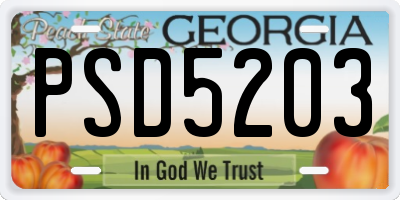 GA license plate PSD5203
