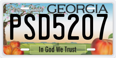 GA license plate PSD5207