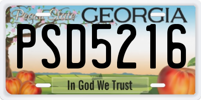 GA license plate PSD5216