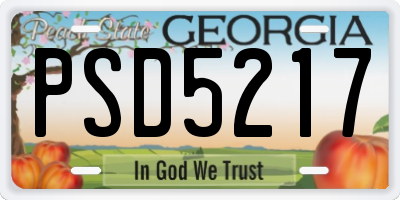 GA license plate PSD5217