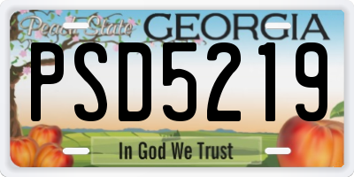 GA license plate PSD5219