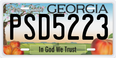 GA license plate PSD5223