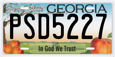 GA license plate PSD5227