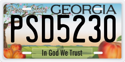 GA license plate PSD5230