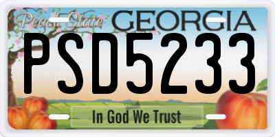 GA license plate PSD5233