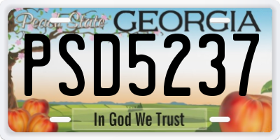GA license plate PSD5237