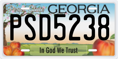 GA license plate PSD5238
