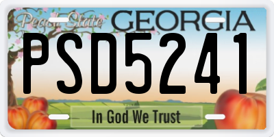 GA license plate PSD5241