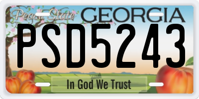 GA license plate PSD5243