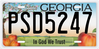 GA license plate PSD5247