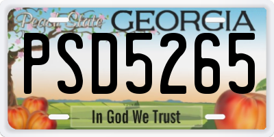 GA license plate PSD5265