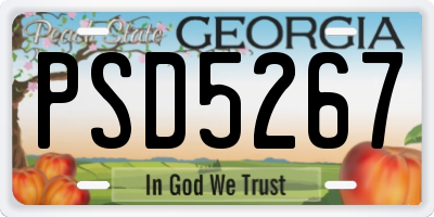 GA license plate PSD5267