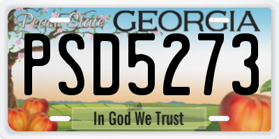 GA license plate PSD5273