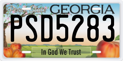 GA license plate PSD5283