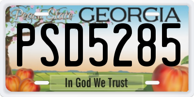 GA license plate PSD5285