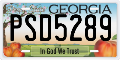 GA license plate PSD5289