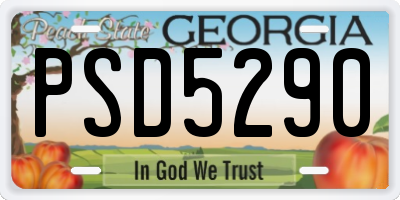 GA license plate PSD5290