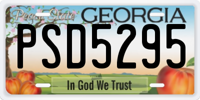 GA license plate PSD5295