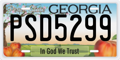 GA license plate PSD5299