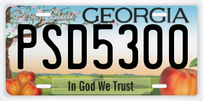 GA license plate PSD5300