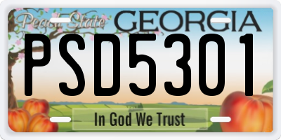 GA license plate PSD5301