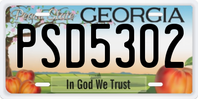 GA license plate PSD5302