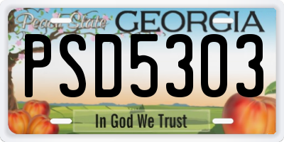 GA license plate PSD5303