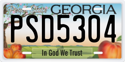 GA license plate PSD5304
