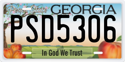 GA license plate PSD5306