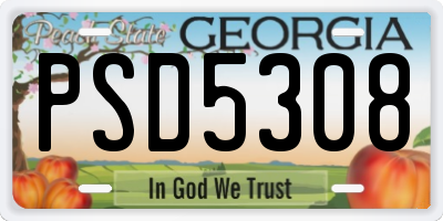GA license plate PSD5308