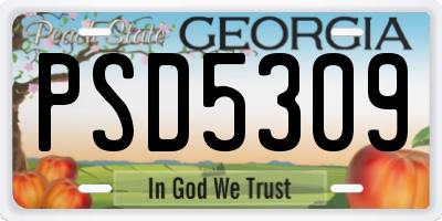 GA license plate PSD5309