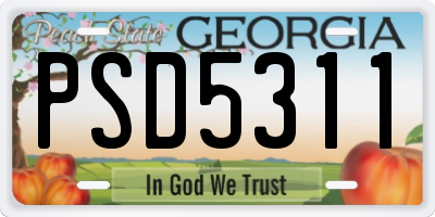 GA license plate PSD5311