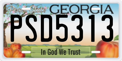 GA license plate PSD5313