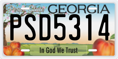 GA license plate PSD5314