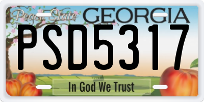GA license plate PSD5317