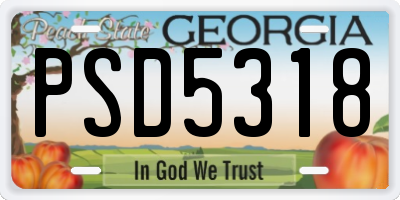 GA license plate PSD5318