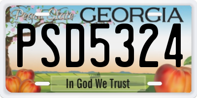 GA license plate PSD5324
