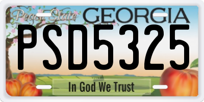 GA license plate PSD5325