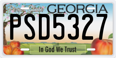 GA license plate PSD5327
