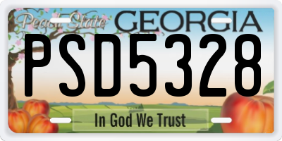 GA license plate PSD5328