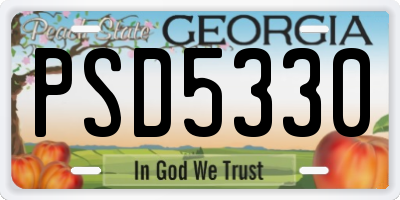 GA license plate PSD5330