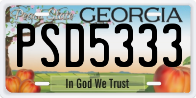 GA license plate PSD5333
