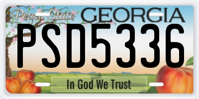 GA license plate PSD5336