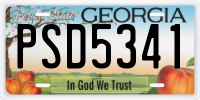 GA license plate PSD5341