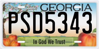 GA license plate PSD5343