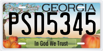 GA license plate PSD5345